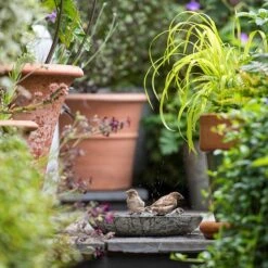 Turned Green Marble Bird Bowl -Plants Shop pr2000037502 card9 lg