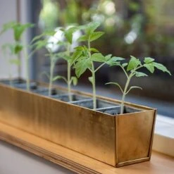 Brass Windowsill Tray With 6 Grow Pods -Plants Shop pr2000037506 card5 lg