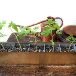Brass Windowsill Tray With 6 Grow Pods -Plants Shop pr2000037506 card6 lg