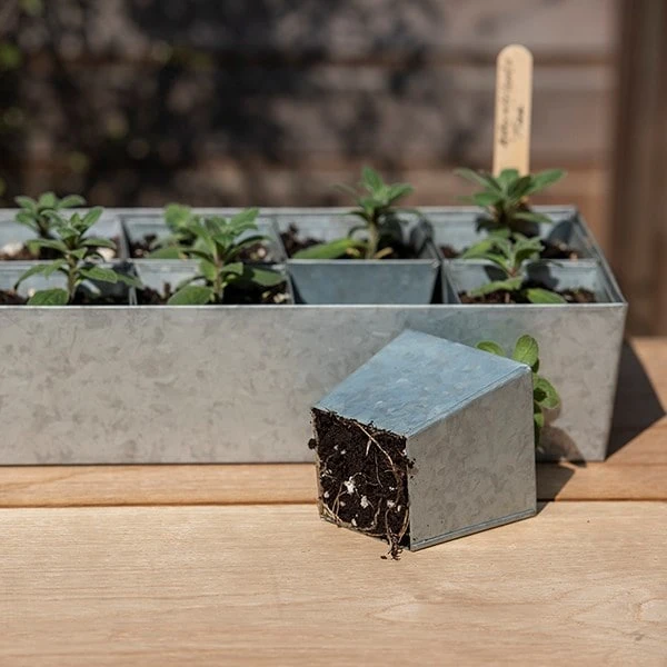 Galvanised Tray With 12 Large Grow Pods 2 Galvanised Tray With 12 Large Grow Pods - Image 2