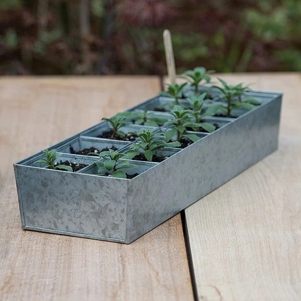 Galvanised Tray With 12 Large Grow Pods 3 Galvanised Tray With 12 Large Grow Pods - Image 3