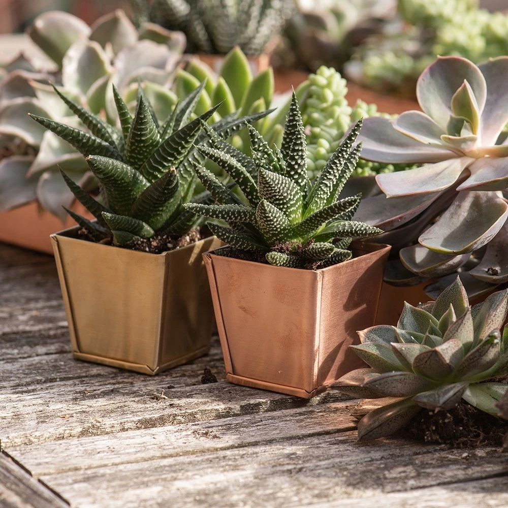 Brass Pots - Set Of 6 4 Brass Pots - Set Of 6 - Image 4
