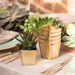 Brass Pots - Set Of 6 12 Brass Pots - Set Of 6 -Plants Shop pr2000037511 card5 lg