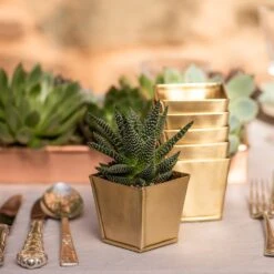Brass Pots - Set Of 6 13 Brass Pots - Set Of 6 -Plants Shop pr2000037511 card6 lg