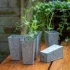 Tall Galvanised Root Trainer Pots - Set Of 6
