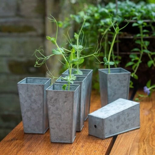 Tall Galvanised Root Trainer Pots - Set Of 6 3 Tall Galvanised Root Trainer Pots - Set Of 6 -Plants Shop pr2000037515