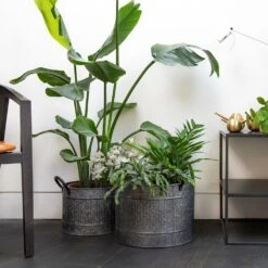 Round Troughs With Blackened Handles - Set Of 2 -Plants Shop pr2000037523 card4 lg