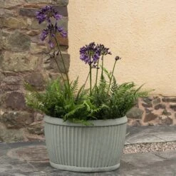 Oval Zinc Dolly Tub Pot -Plants Shop pr2000037524 card6 lg