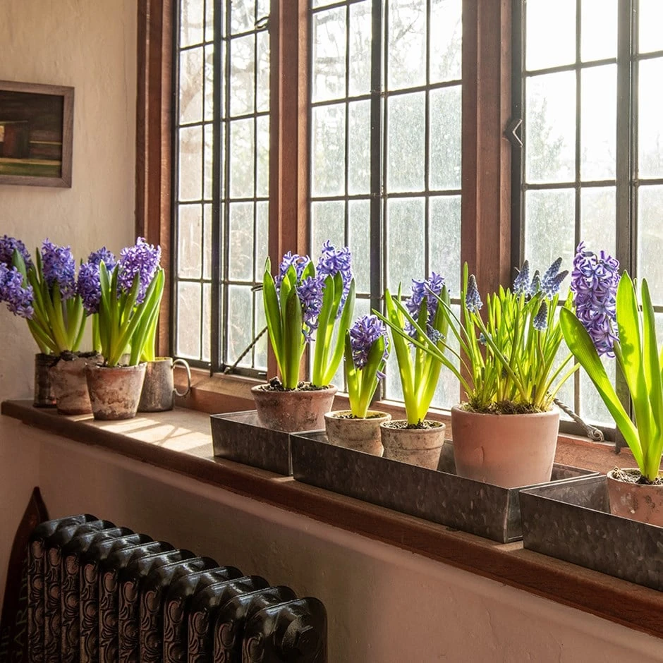 Grow Trays Landscape - Set Of 3 1 Grow Trays Landscape - Set Of 3