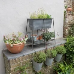 Trough Stand With Shelf - Long 9 Trough Stand With Shelf - Long -Plants Shop pr2000037547 card4 lg