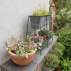 Trough Stand With Shelf - Long 10 Trough Stand With Shelf - Long -Plants Shop pr2000037547 card5 lg