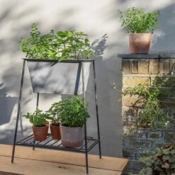 Trough On Stand With Shelf - Short 11 Trough On Stand With Shelf - Short -Plants Shop pr2000037548 card5 lg