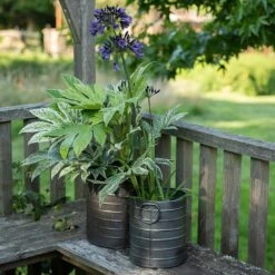 Galvanised Cylinder Pot -Plants Shop pr2000037551 card3 lg