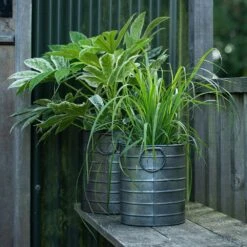 Galvanised Cylinder Pot -Plants Shop pr2000037551 card4 lg