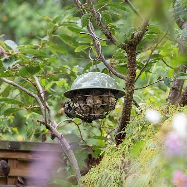 Birdie Fat Snax Feeder - Crocus Green 3 Birdie Fat Snax Feeder - Crocus Green - Image 3