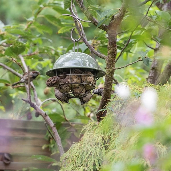 Birdie Fat Snax Feeder - Crocus Green 5 Birdie Fat Snax Feeder - Crocus Green - Image 5