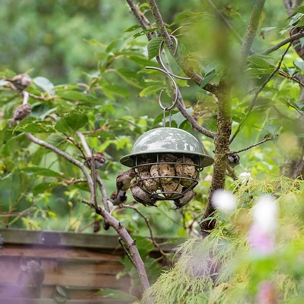 Birdie Fat Snax Feeder - Crocus Green 6 Birdie Fat Snax Feeder - Crocus Green - Image 6