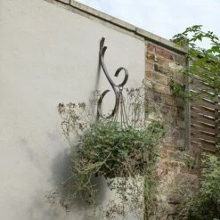 Scroll Wall Hook - Graphite -Plants Shop pr2000037558 card4 lg