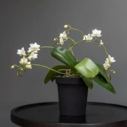 Charcoal Metal Plant Pot Cover With Enamel Interior -Plants Shop pr2000037568 card4 lg