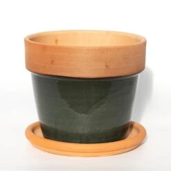 Natural Terracotta Saucer -Plants Shop pr2000037584 card3 lg