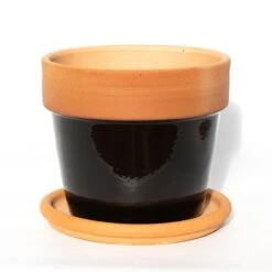 Natural Terracotta Saucer -Plants Shop pr2000037584 card4 lg