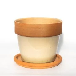 Natural Terracotta Saucer -Plants Shop pr2000037584 card5 lg