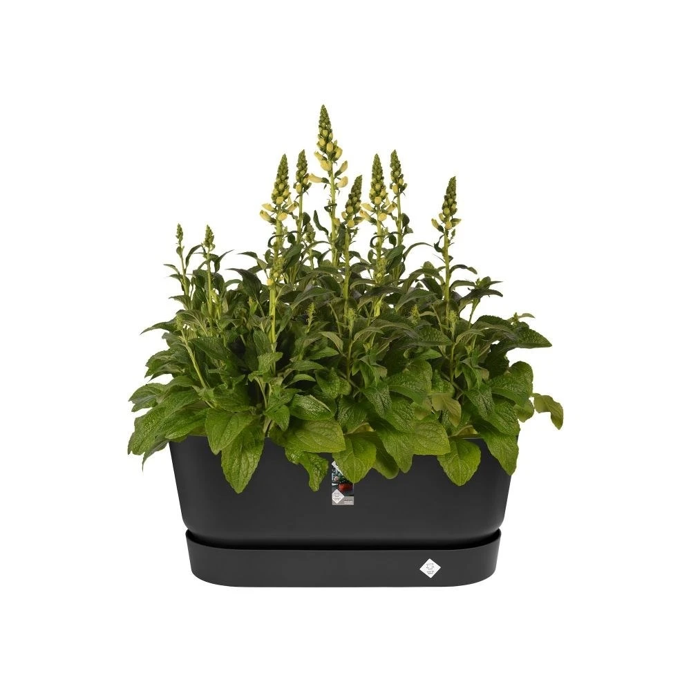 Greenville Terrace Trough On Wheels Black 2 Greenville Terrace Trough On Wheels Black - Image 2