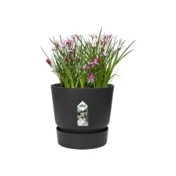 Greenville Round Pot Black 6 Greenville Round Pot Black -Plants Shop pr2000038224 card3 lg