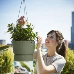 Greenville Hanging Basket Green -Plants Shop pr2000038231 card4 lg