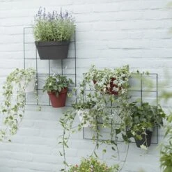 Loft Urban Green Wall Rack Black 5 Loft Urban Green Wall Rack Black -Plants Shop pr2000038235 card3 lg
