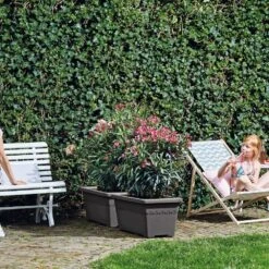 Algarve Terrace Wheels Anthracite 5 Algarve Terrace Wheels Anthracite -Plants Shop pr2000038240 card3 lg