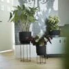 Matt Black Planter With Stand