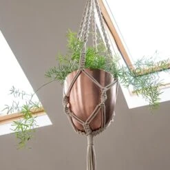 Macrame Hanger With Brushed Copper Pot 9 Macrame Hanger With Brushed Copper Pot -Plants Shop pr2000038572 card5 lg