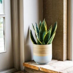 Bamboo Light Blue Planter