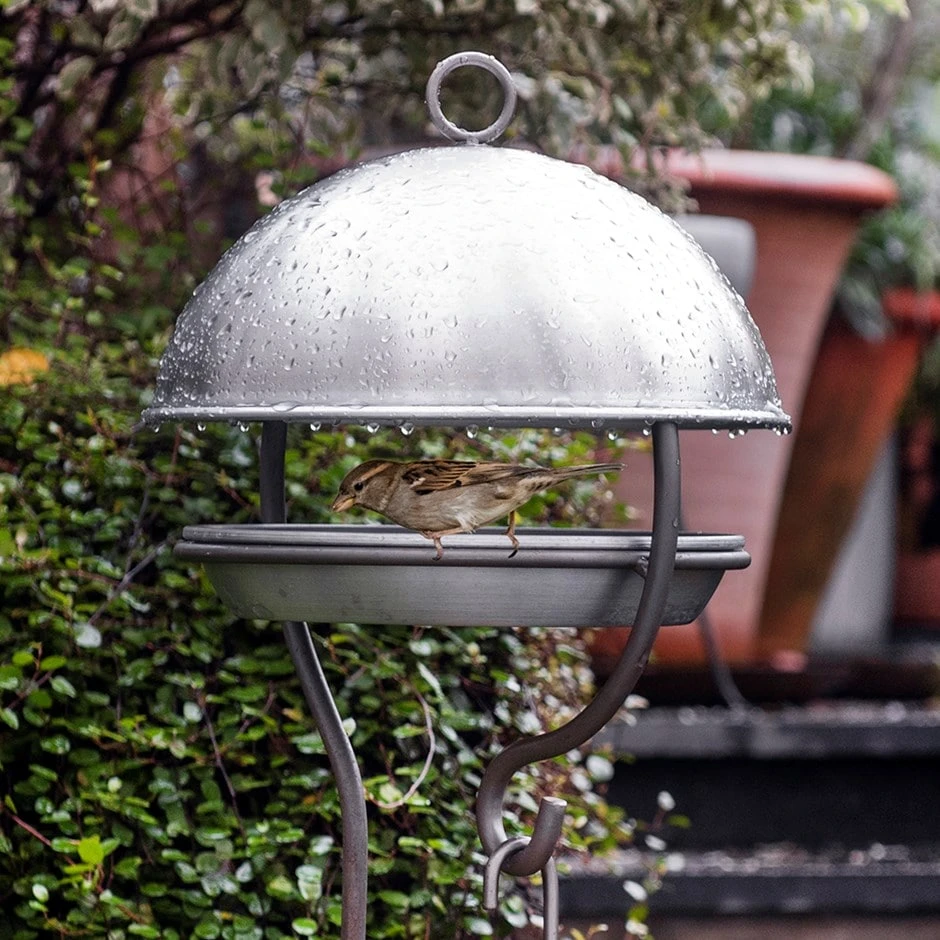Brushed Aluminium Stake Bird Feeding Dome 1 Brushed Aluminium Stake Bird Feeding Dome