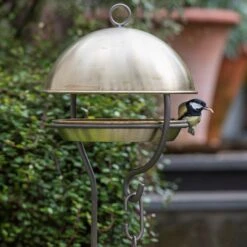 Brushed Brass Stake Bird Feeding Dome 5 Brushed Brass Stake Bird Feeding Dome -Plants Shop pr2000040687 card3 lg