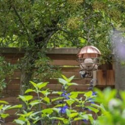 Brushed Copper Satellite Fat Ball Feeder 14 Brushed Copper Satellite Fat Ball Feeder -Plants Shop pr2000040691 card6 lg