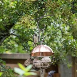 Brushed Copper Satellite Fat Ball Feeder 17 Brushed Copper Satellite Fat Ball Feeder -Plants Shop pr2000040691 card9 lg