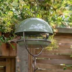 Hanging Bird Feeding Dome - Crocus Green 10 Hanging Bird Feeding Dome - Crocus Green -Plants Shop pr2000040693 card3 lg