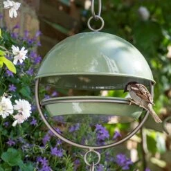Hanging Bird Feeding Dome - Crocus Green 12 Hanging Bird Feeding Dome - Crocus Green -Plants Shop pr2000040693 card5 lg
