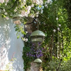 Hanging Bird Feeding Dome - Crocus Green 14 Hanging Bird Feeding Dome - Crocus Green -Plants Shop pr2000040693 card7 lg