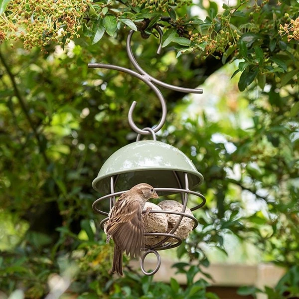 Satellite Fat Ball Feeder - Crocus Green 2 Satellite Fat Ball Feeder - Crocus Green - Image 2