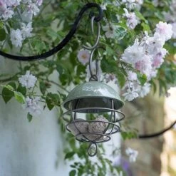 Satellite Fat Ball Feeder - Crocus Green 8 Satellite Fat Ball Feeder - Crocus Green -Plants Shop pr2000040694 card4 lg