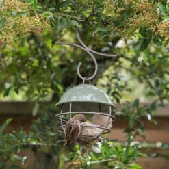 Satellite Fat Ball Feeder - Crocus Green 9 Satellite Fat Ball Feeder - Crocus Green -Plants Shop pr2000040694 card5 lg