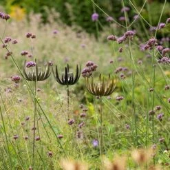 Flower Stake Tealight Holder - Antique Brass -Plants Shop pr2000040770 card6 lg