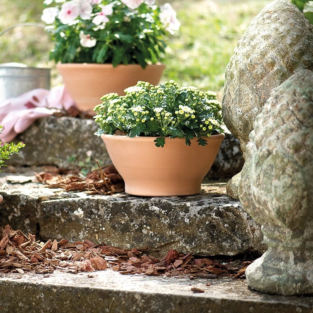 Natural Terracotta Bowl Planter 2 Natural Terracotta Bowl Planter - Image 2