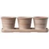 Italian Terracotta Pots Whitewash - Set Of 3 With Tray