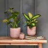 Reactive Glaze Plant Pot - Pink