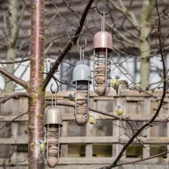 Tree Hanging Fat Ball Feeder - Putty 8 Tree Hanging Fat Ball Feeder - Putty -Plants Shop pr2000041703 card3 lg