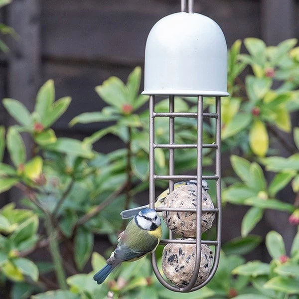 Tree Hanging Fat Ball Feeder - Putty 4 Tree Hanging Fat Ball Feeder - Putty - Image 4